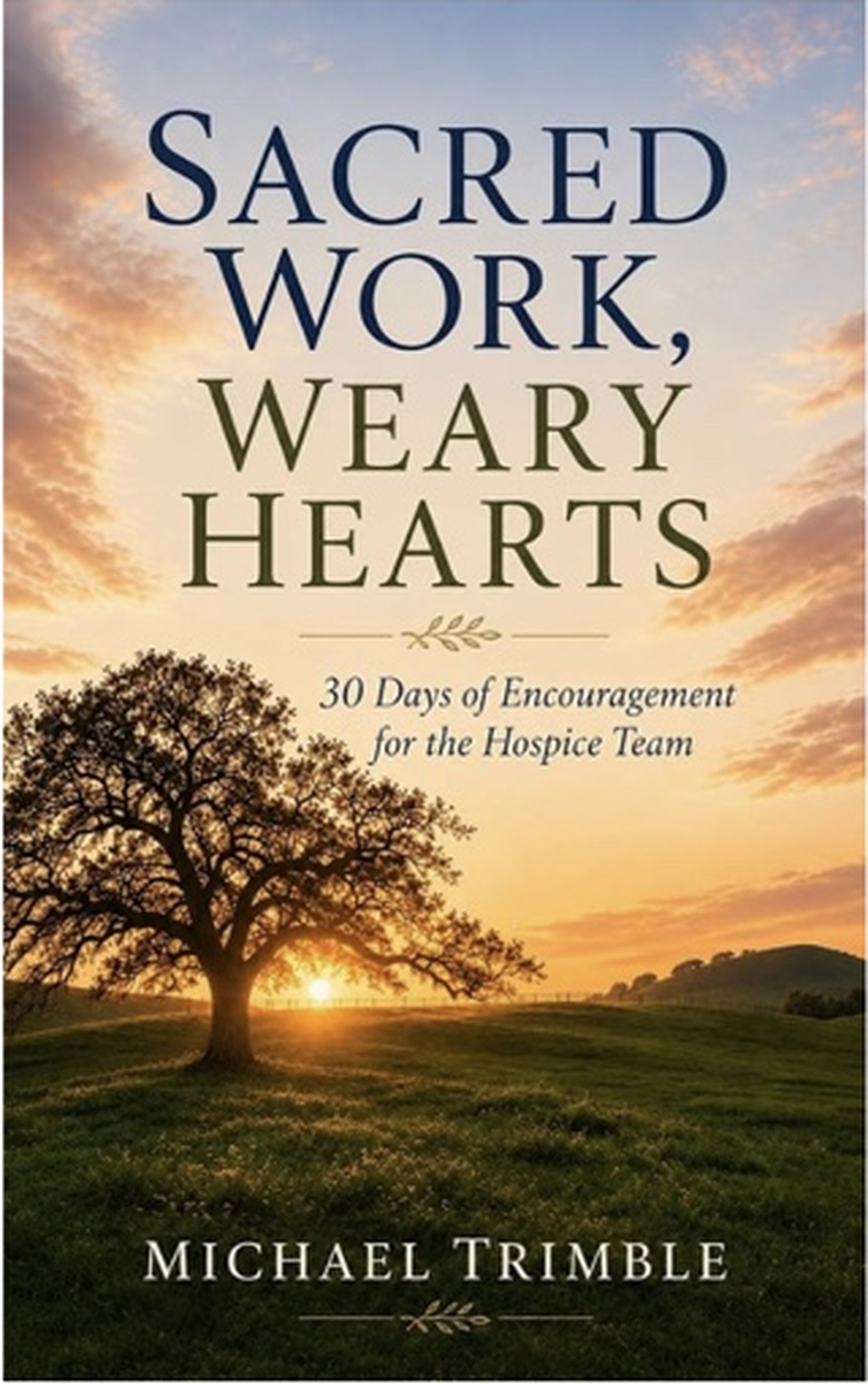 Cover of Sacred Work, Weary Hearts by Michael Trimble